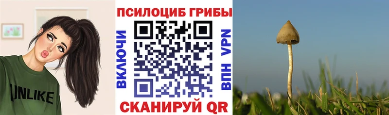 даркнет сайт  omg сайт  Псилоцибиновые грибы Psilocybine cubensis  Верхний Тагил 